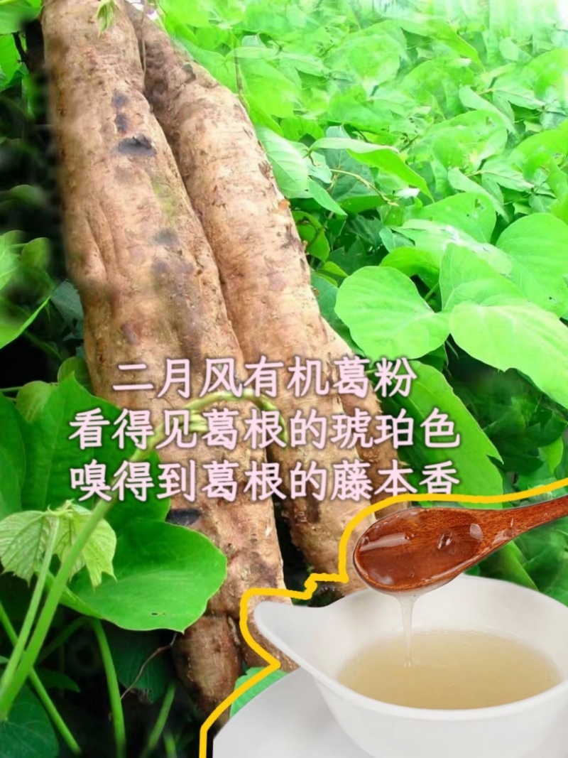 二月風(fēng)有機(jī)葛粉，看得見(jiàn)葛根的琥珀色，嗅得到葛根的藤本香_800.jpg
