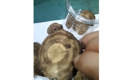 4 個(gè)細(xì)節(jié)識(shí)破假葛根：野生葛根片的形態(tài)密碼與鑒別指南