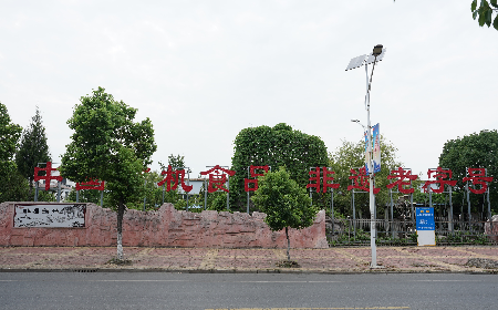 當(dāng)定制葛粉時，我們真正在選擇什么？