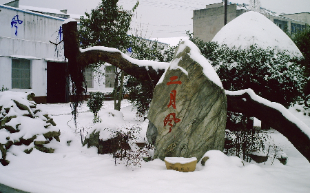 二月風(fēng)致老友：一碗葛根粉的牽掛，農(nóng)博會上的重逢之約二月風(fēng)盼老友：農(nóng)博會上，再續(xù)葛粉情緣