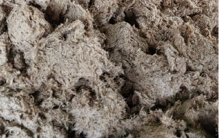 深入大洪山，只為一口純凈 -二月風今冬野生葛根收購紀實